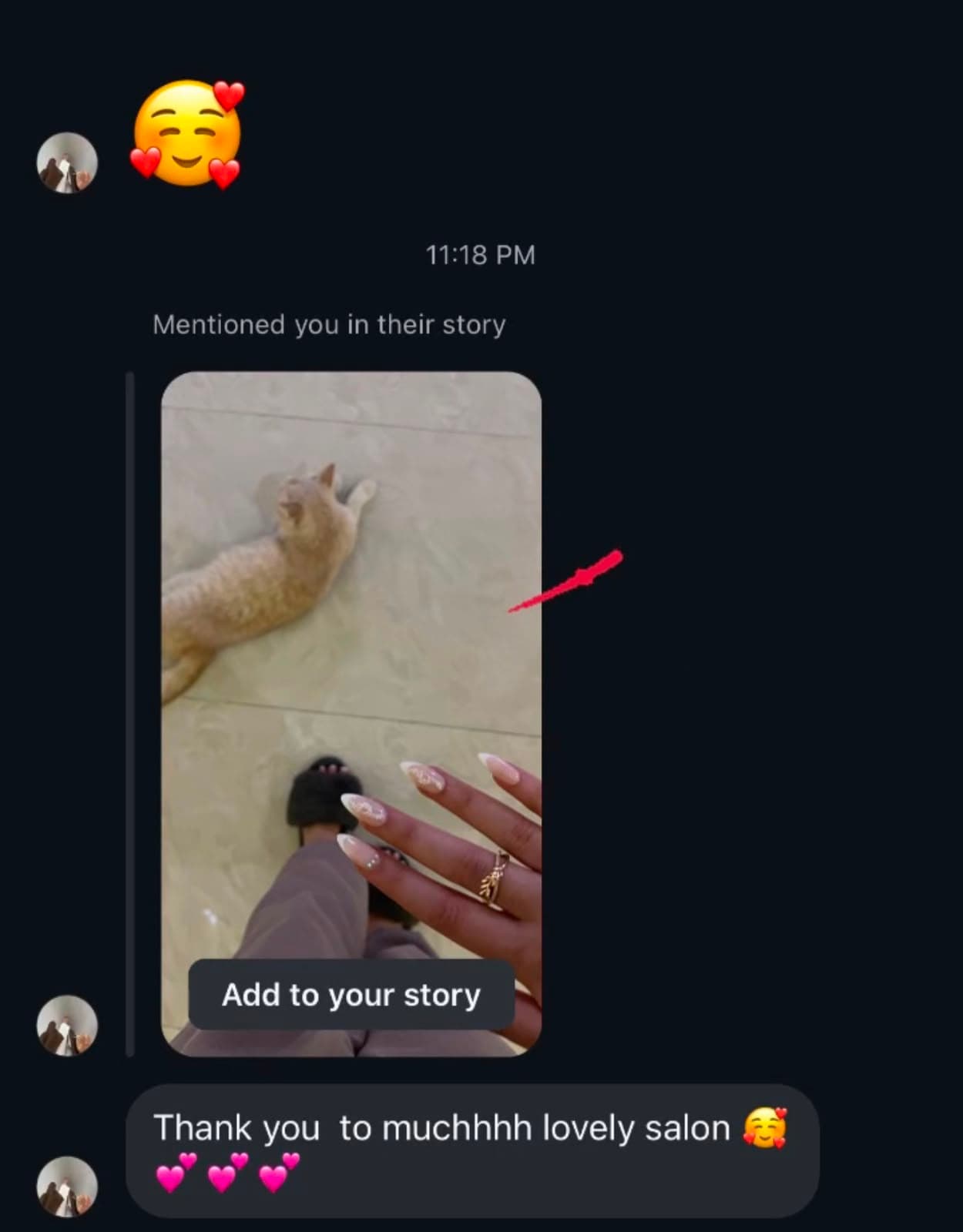 Instagram DM thanking Rumana Saloon and calling it a lovely salon